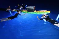 Kona Manta Ray Snorkel Tour thumbnail 4
