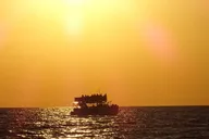 Panama City Dolphin Cruise at Sunset thumbnail 1