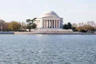 Washington DC Monuments & History Cherry Blossom Tour 2 hr thumbnail 2