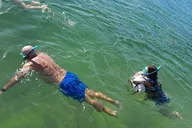 Miami Snorkeling Tour for Beginners 2 hr thumbnail 3