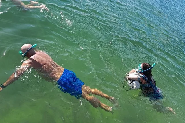 Miami Snorkeling Tour for Beginners 2 hr - Image 3