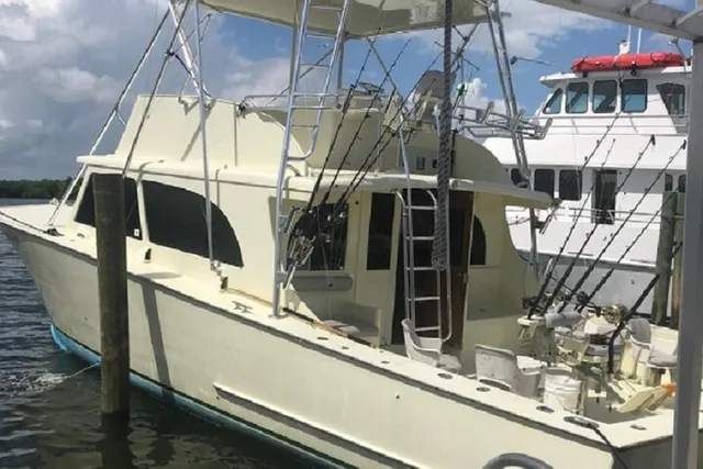 Hollywood Sportfishing Charter - Image 5