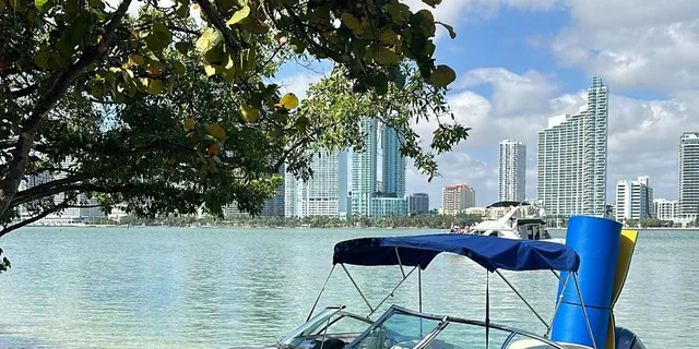 Miami Celebrity Mansions & Private Island Charter - Image 5