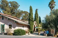 San Francisco Wine Country Tour 5.5 hr thumbnail 6