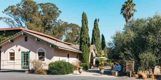 San Francisco Wine Country Tour 5.5 hr - Image 6