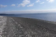 Island Trail and Beach Day thumbnail 3