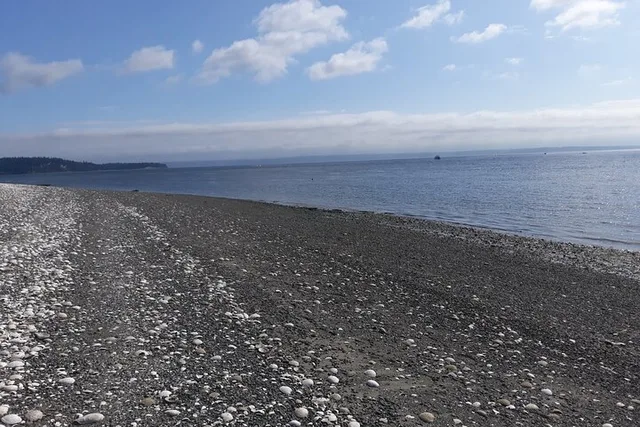 Island Trail and Beach Day - Image 3