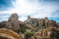 Joshua Tree Sunrise Private Tour & Hike thumbnail 4