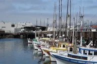 San Francisco Alcatraz App Guided Tour 2 hr thumbnail 4