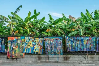 New Orleans Art and Street Art Tour with Lunch