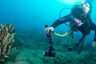 Kauai Scuba Diving South Shore Certified Diver 3 hr thumbnail 5