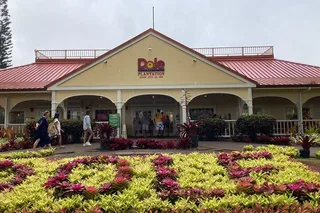 Honolulu Private Limousine Tour of Dole Plantation and North Shore
