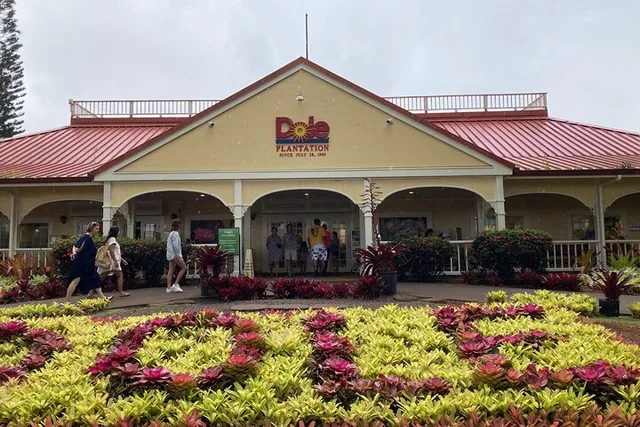Honolulu Private Limousine Tour of Dole Plantation and North Shore - Image 1