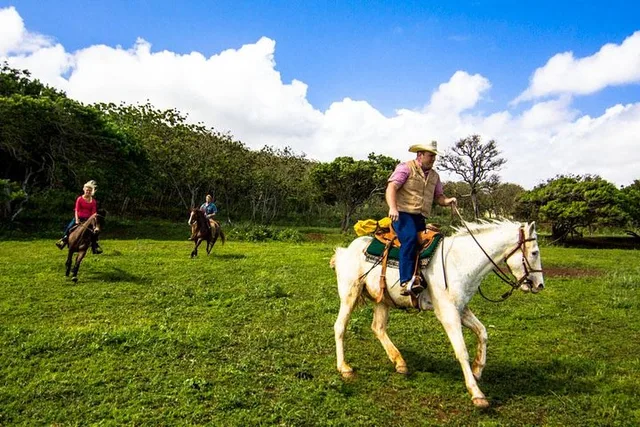 Oahu Advanced Trail Ride - Image 6