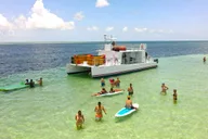Key West Dolphin Watching Tour with Lunch thumbnail 4