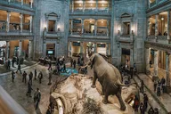 Washington DC Smithsonian Museum Tour 5.5 Hr thumbnail 3