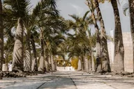 Key West Street Food Tour thumbnail 3