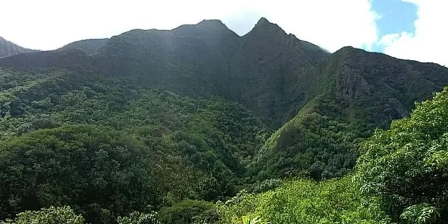 Maui North Shore and Hana Highway Tour with Breakfast - Image 4