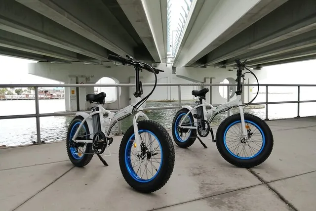 Miami Electric Bike Rental 1 Hr - Image 1