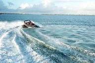 Miami Speedboat Ride and City Tour thumbnail 3