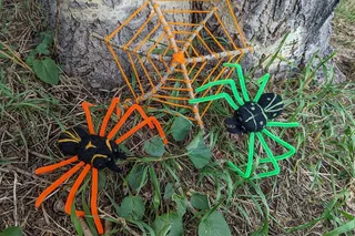 Estes Park Spider Art Class