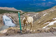 Denver Mount Blue Sky Summit & Red Rocks Tour thumbnail 6