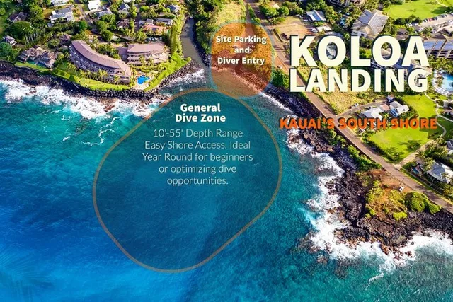 Koloa Discover Scuba Diving Experience 3 hr - Image 1