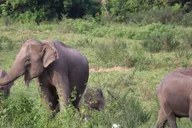 Cincinnati Zoo Admission Ticket thumbnail 1