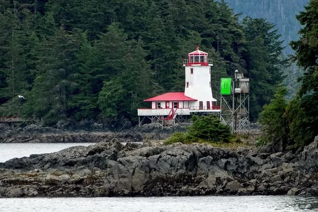 Sitka Sea Kayaking Adventure - Image 4