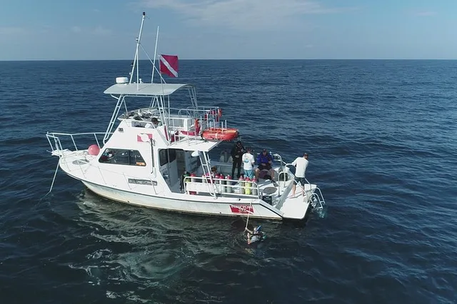 Panama City Wreck and Bridge Span Dive - Image 5