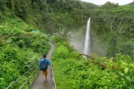 Hilo Private Shore Excursion and Waterfalls Tour thumbnail 6