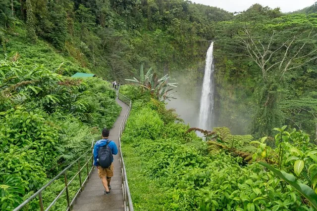 Hilo Private Shore Excursion and Waterfalls Tour - Image 6