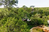 Orlando Gatorland Skip-the-Line Ticket thumbnail 6