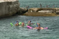 Tierra Verde Dolphin Cruise and Snorkeling Adventure thumbnail 3