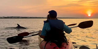 Virginia Beach Dolphin Kayak Tour