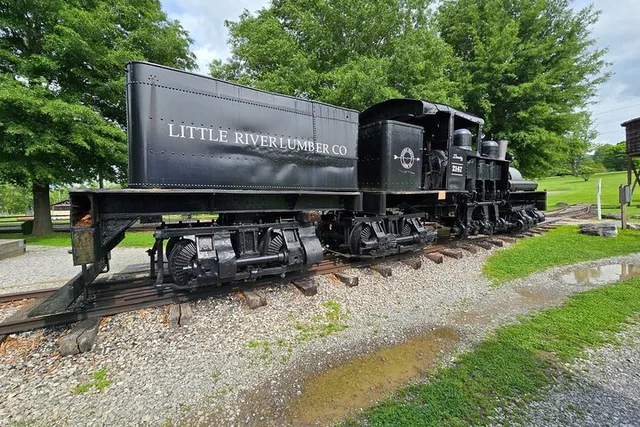 Sevierville Cades Cove and Foothills Parkway Tour - Image 1