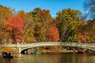 New York Central Park Pedicab Tour thumbnail 5