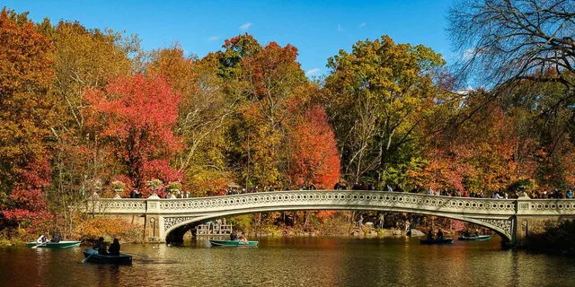 New York Central Park Pedicab Tour - Image 5