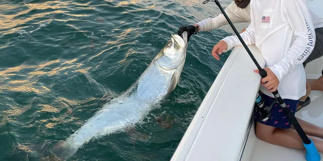 Key West Inshore Fishing Charter 4 hr - Image 2