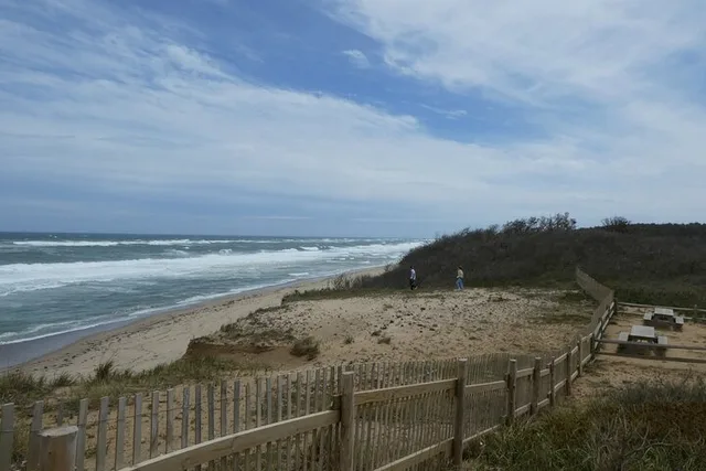 Cape Cod Private Driving Tour - Image 4