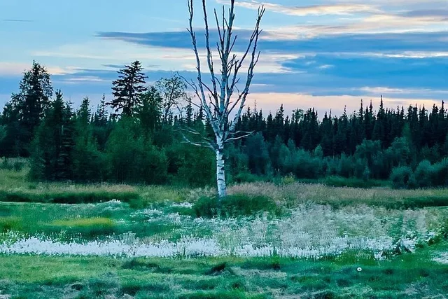 Fairbanks Golf Experience at Midnight Sun Golf Course - Image 4