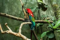 New York Central Park Zoo Tour with Private Transfers thumbnail 3