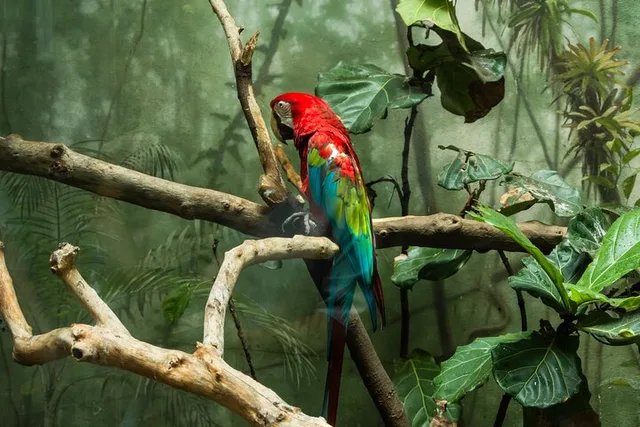 New York Central Park Zoo Tour with Private Transfers - Image 3