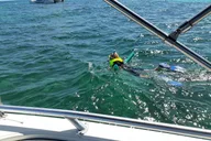 Key Largo Private Snorkel Tour thumbnail 5