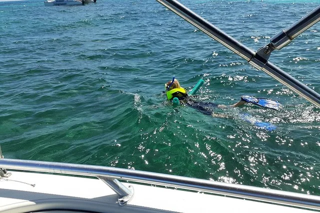 Key Largo Private Snorkel Tour - Image 5