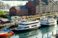 Boston Harvard and MIT Day Tour thumbnail 2