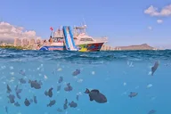 Waikiki Snorkel and Wildlife Cruise thumbnail 2