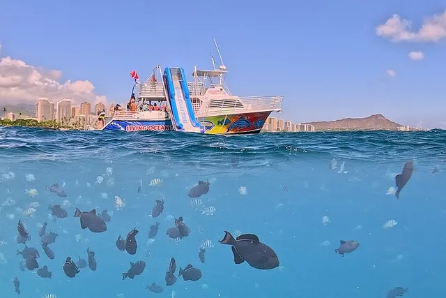 Waikiki Snorkel and Wildlife Cruise - Image 2