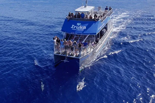 Oahu Dolphin Watch Cruise with Waterslide & Snorkeling - Image 3