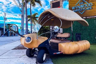 Miami Art Car Tour in Wynwood 1 hr